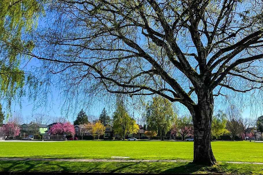 1529 W 61st Avenue Vancouver, BC - 10