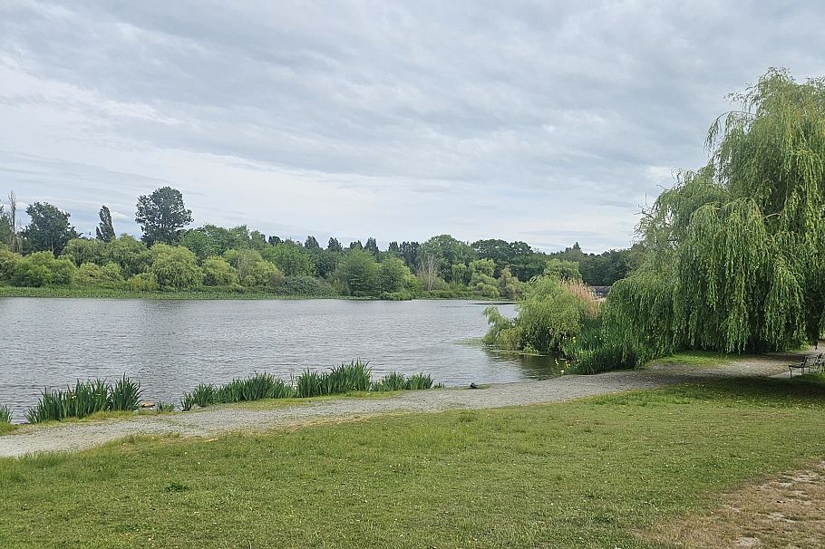 3868 Victoria Drive Vancouver, BC - 4