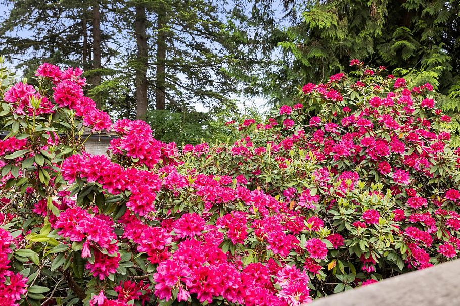 1561 Merlynn Crescent North Vancouver, BC - 37