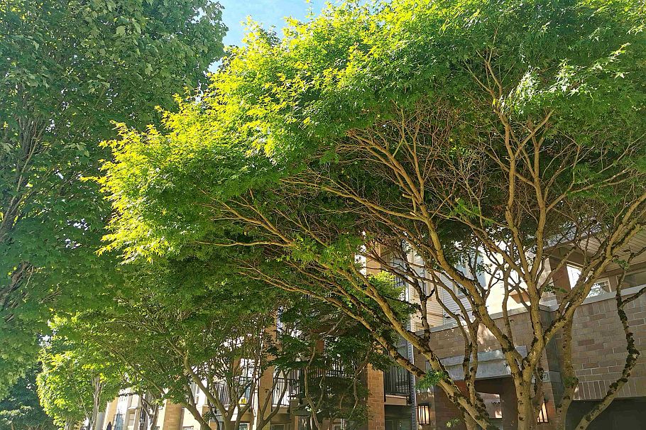 318 2388 Western Parkway Vancouver, BC - 14