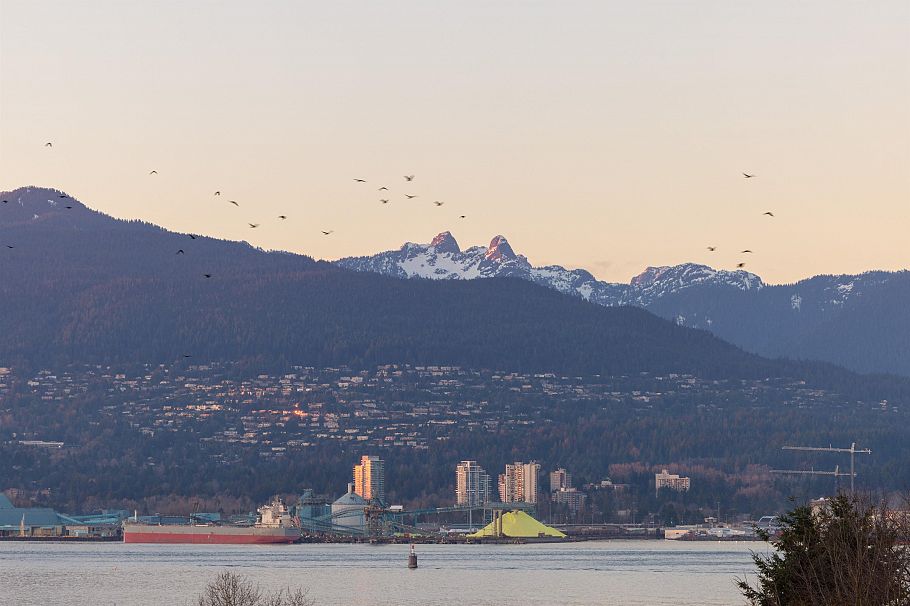 308 27 Alexander Street Vancouver, BC - 30