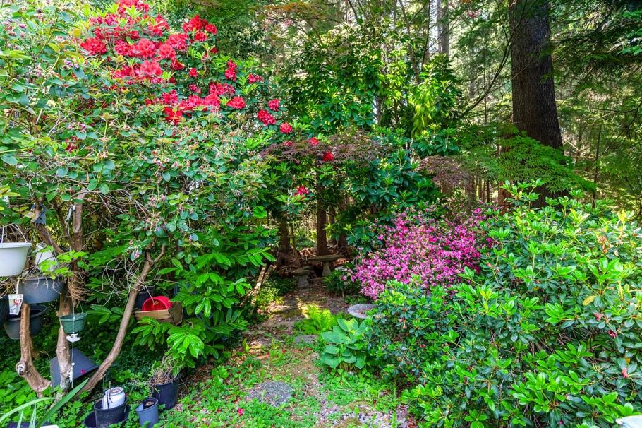 5261 Cliffridge Avenue North Vancouver, BC - 23