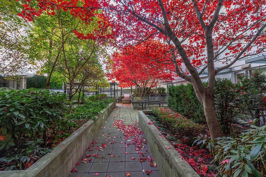 1810 188 Keefer Street Vancouver, BC - 34
