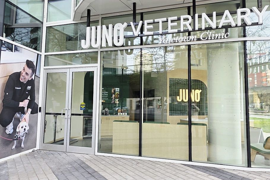1020 68 Smithe Street Vancouver, BC - 31