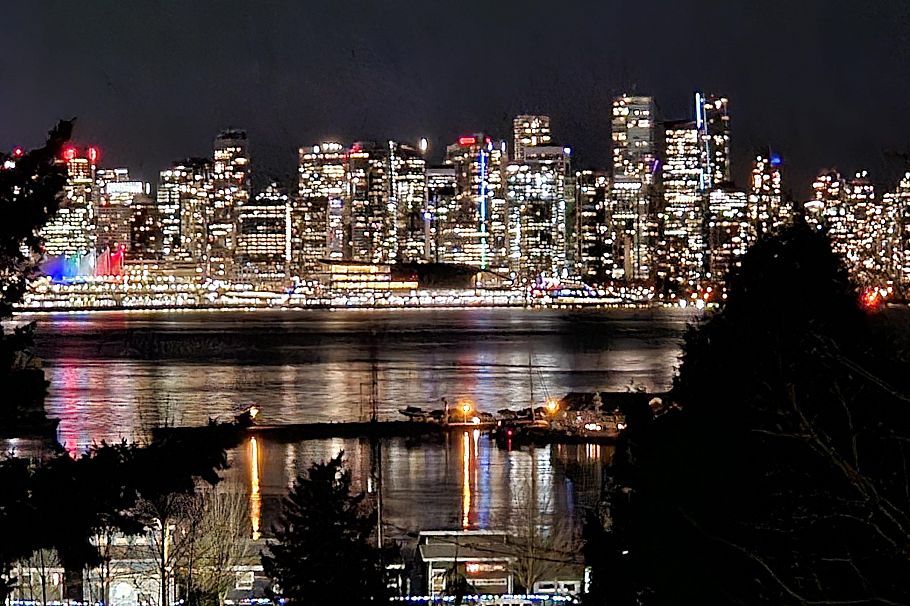 311 212 Forbes Avenue North Vancouver, BC - 4