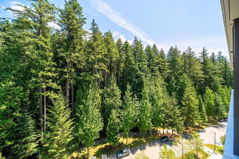 906 5629 Birney Avenue Vancouver, BC - 22