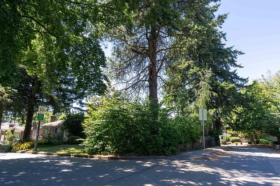 4507 Todd Street Vancouver, BC - 31