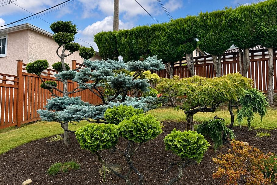 2965 E 8th Avenue Vancouver, BC - 37