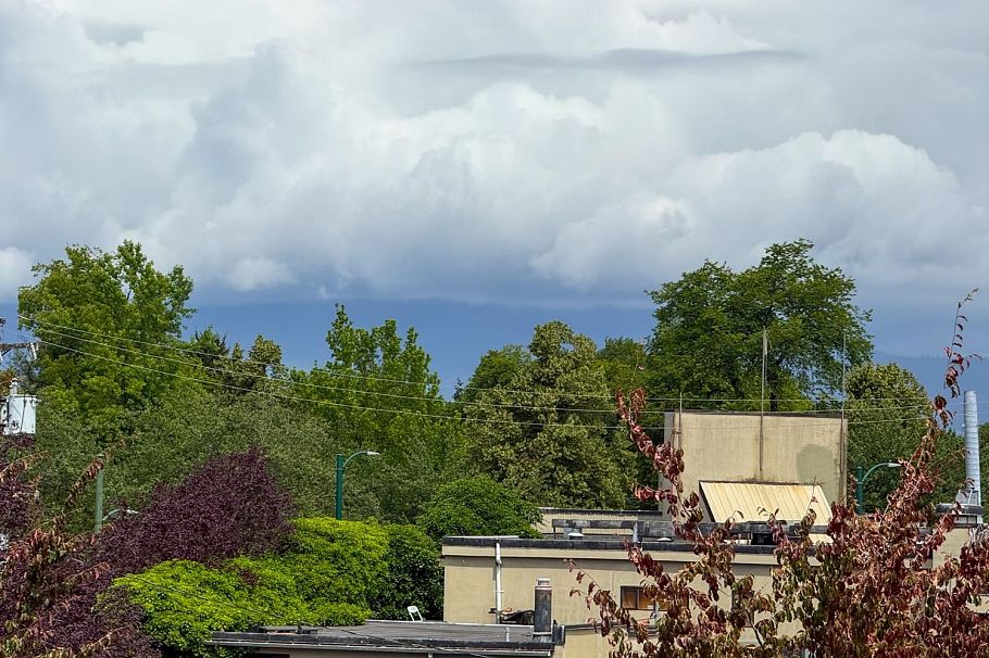 401 688 E 16th Avenue Vancouver, BC - 9