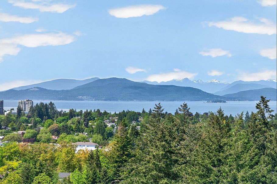 1803 5380 Crooked Branch Road Vancouver, BC - 14