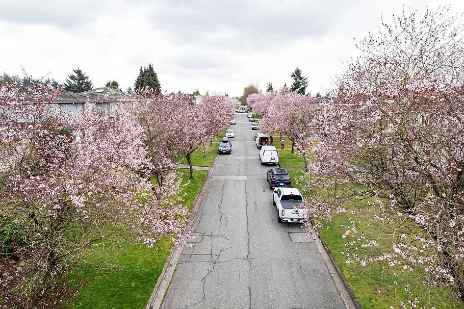 5878 Arlington Street Vancouver, BC - 12