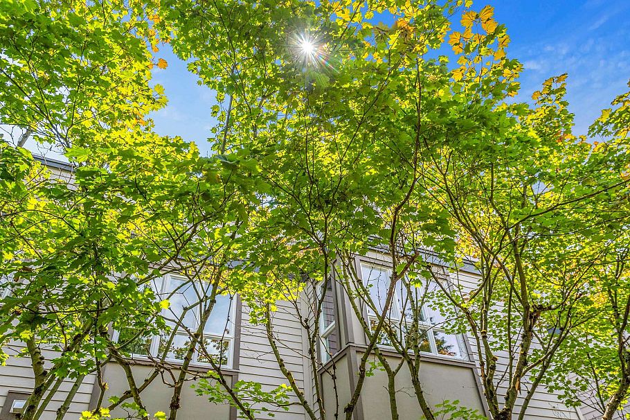403 106 W Kings Road North Vancouver, BC - 27