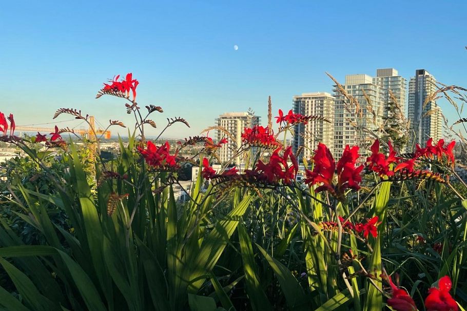 603 7777 Cambie Street Vancouver, BC - 32