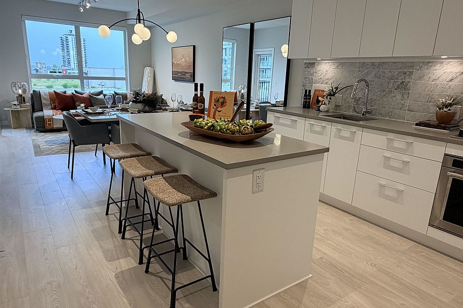 403 110 E 17th Street North Vancouver, BC - 1