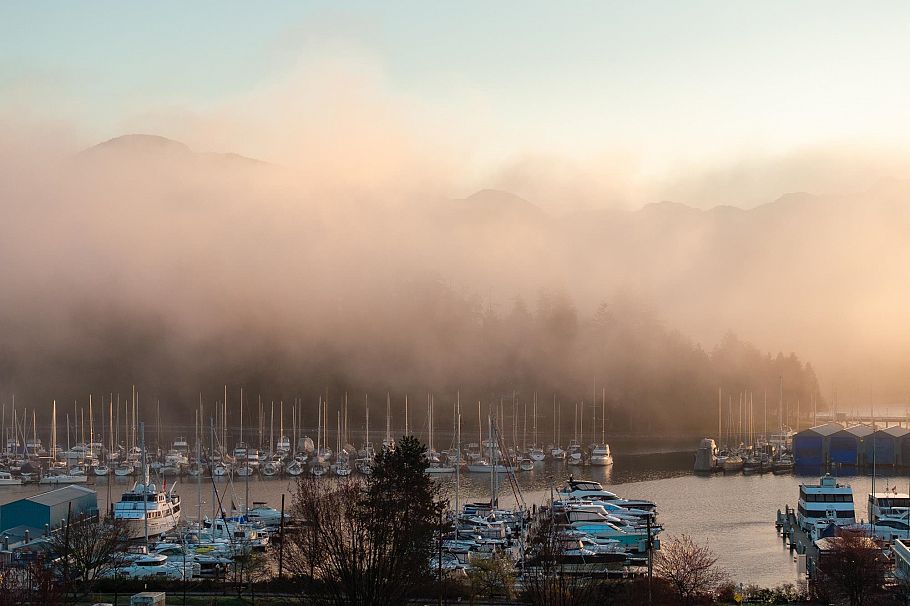 1503 1818 Alberni Street Vancouver, BC - 6
