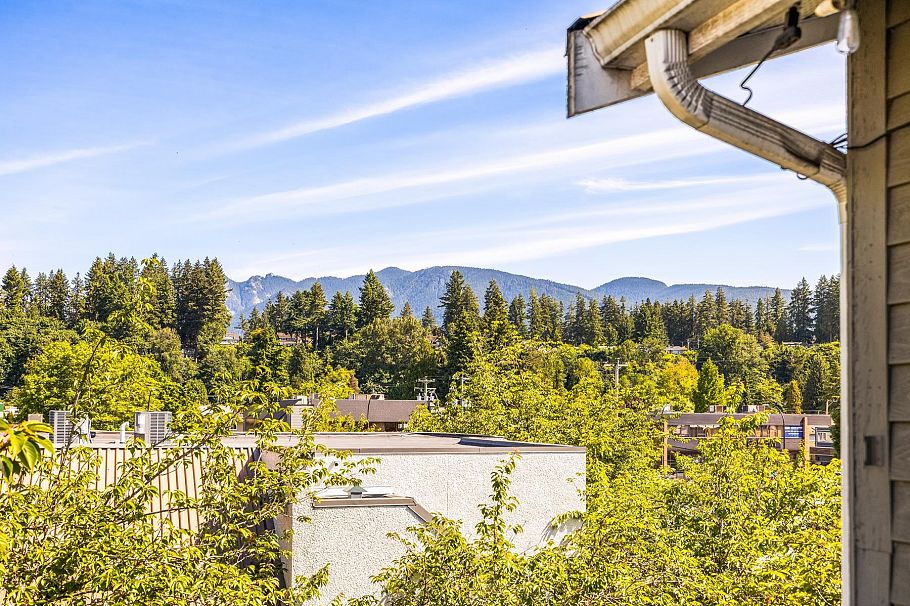 303 1528 Bowser Avenue North Vancouver, BC - 21