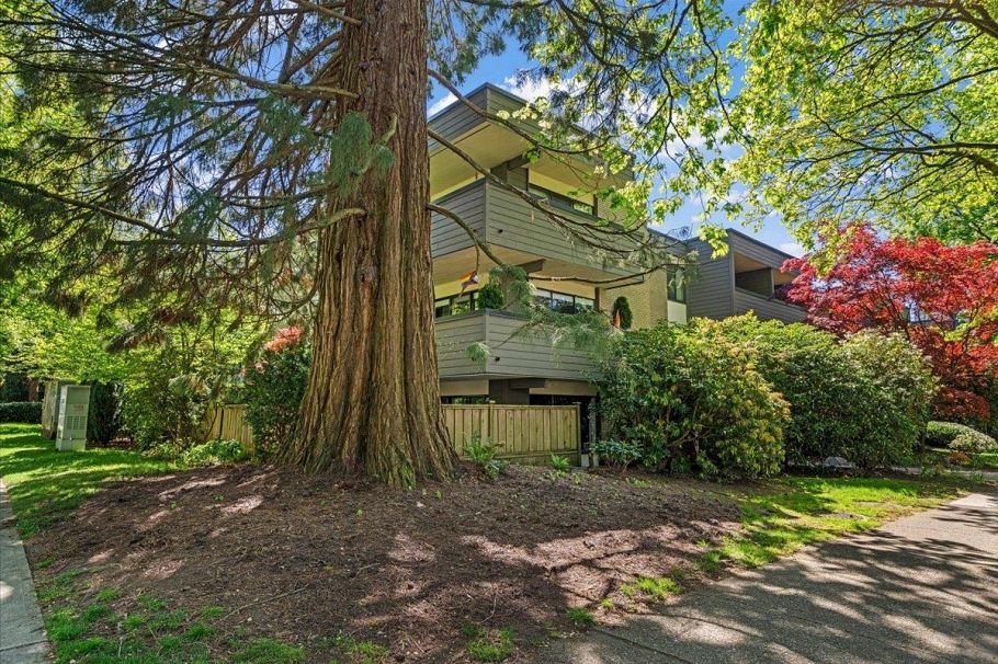 202 1710 13th Avenue Vancouver, BC - 36