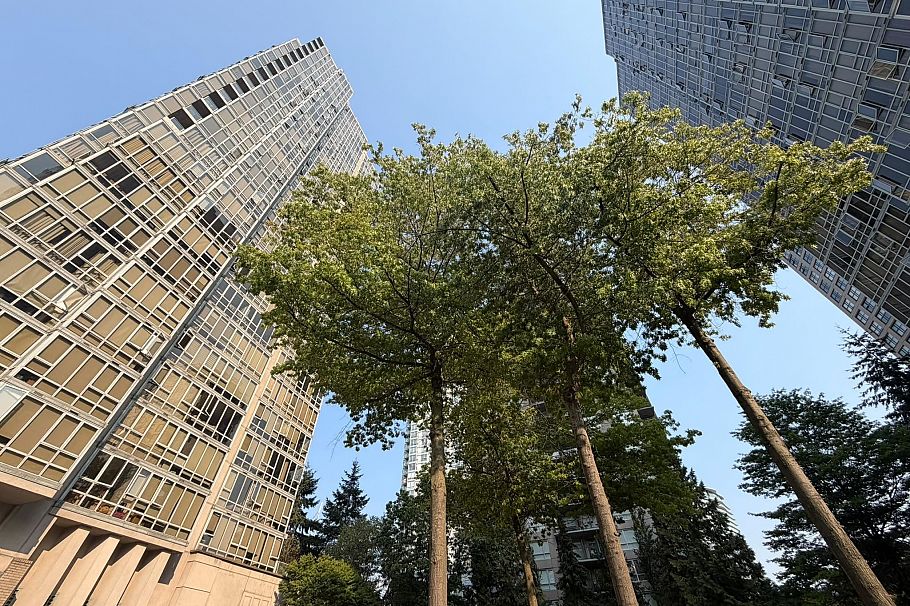 1003 930 Cambie Street Vancouver, BC - 9