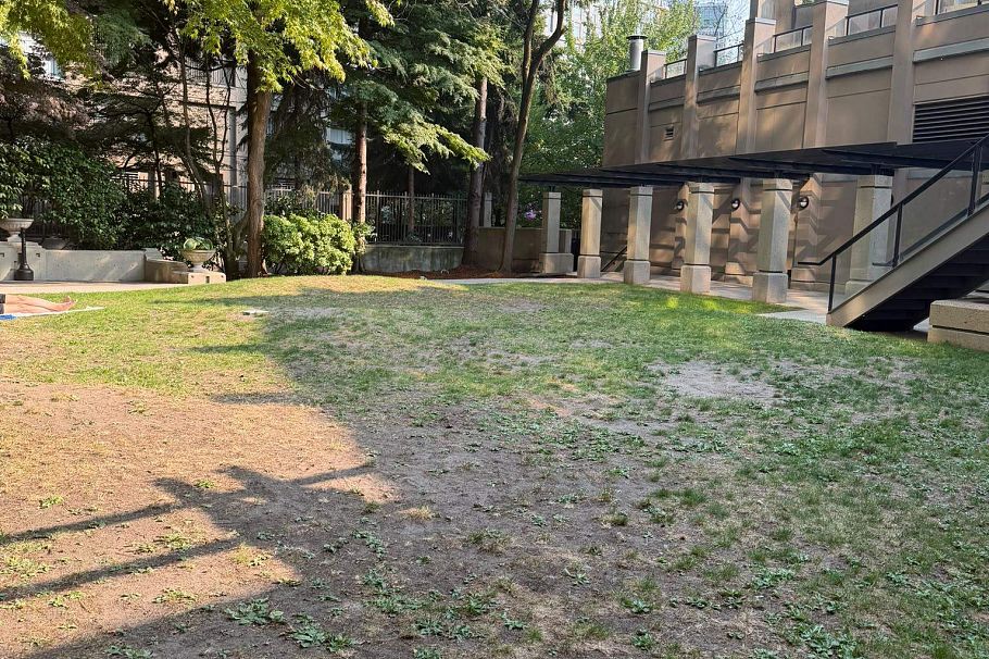 1003 930 Cambie Street Vancouver, BC - 21