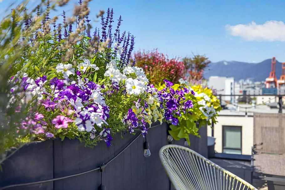 305 1647 E Pender Street Vancouver, BC - 27
