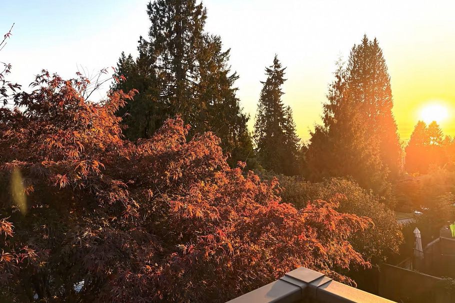 336 E 26th Street North Vancouver, BC - 35