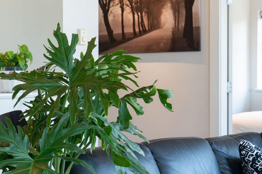 301 1075 W 1st Street North Vancouver, BC - 5