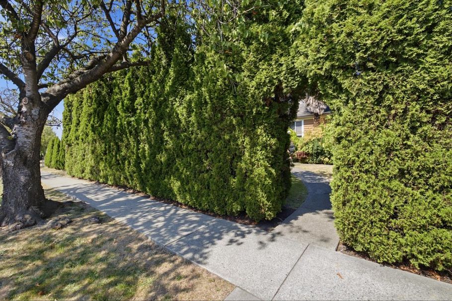 55 W King Edward Avenue Vancouver, BC - 37