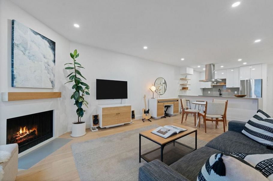 203 607 E 8th Avenue Vancouver, BC - 3
