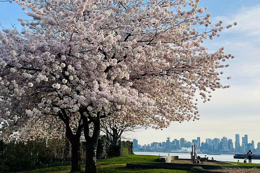 315 255 W 1st Street North Vancouver, BC - 38