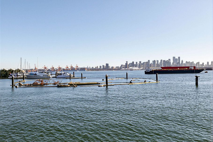 308 785 Harbour Way North Vancouver, BC - 39