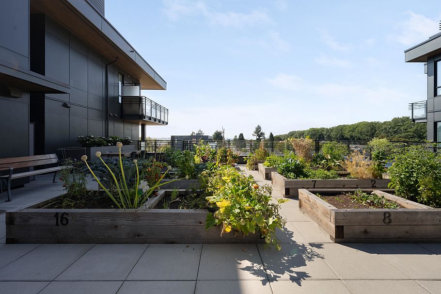 306 2450 Garden Drive Vancouver, BC - 26