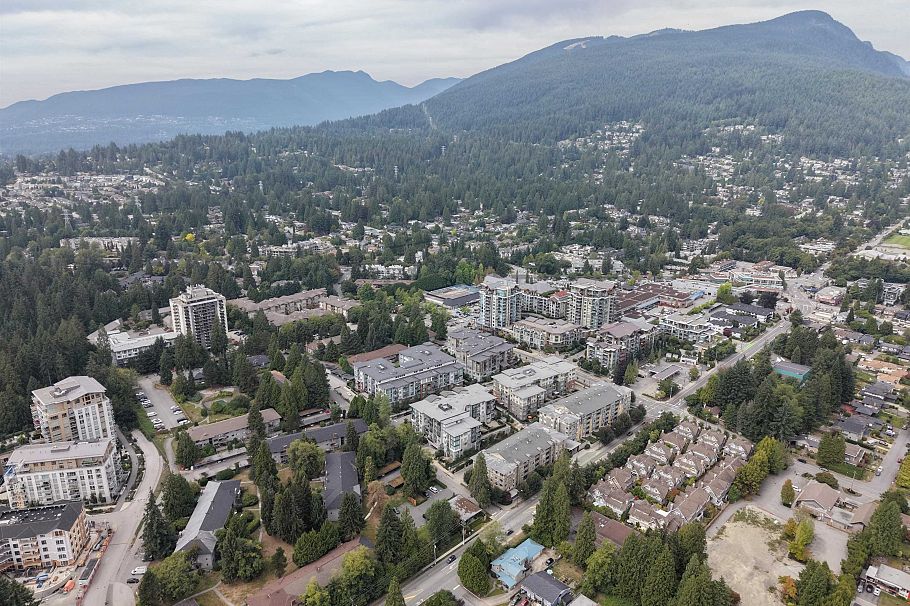 205 2663 Library Lane North Vancouver, BC - 38