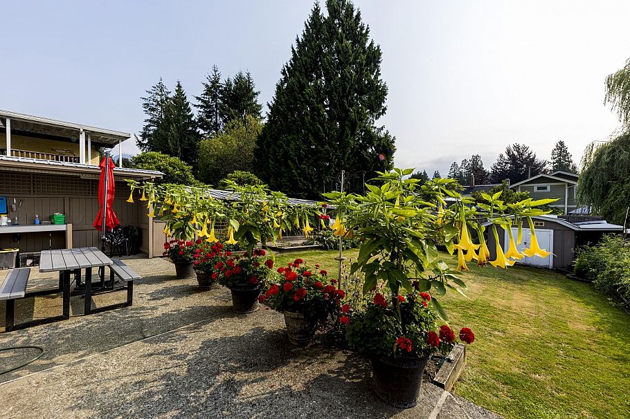 3466 Upton Road North Vancouver, BC - 31