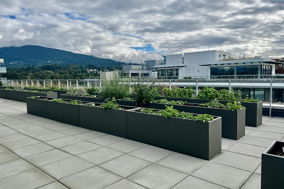 4F 785 HARBOUR WAY, North Vancouver BC V7P 0G3 North Vancouver, BC - 23