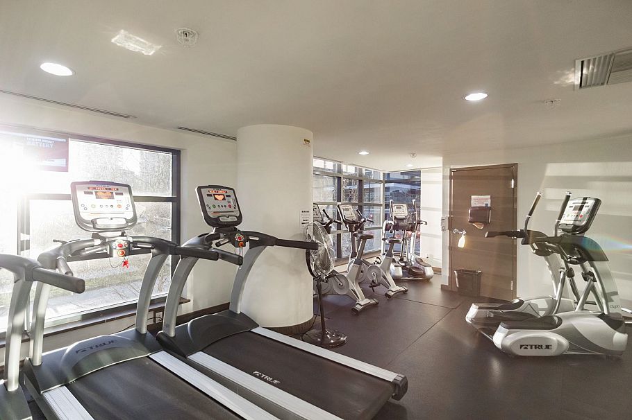 305 8 Smithe Mews Vancouver, BC - 32