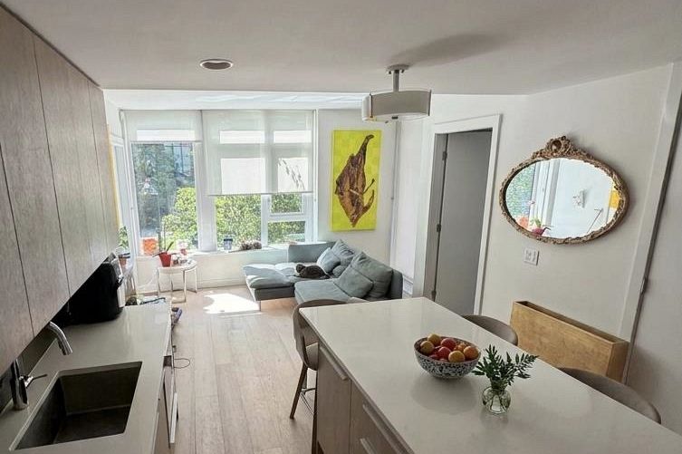 204 2738 Library Lane North Vancouver, BC - 3