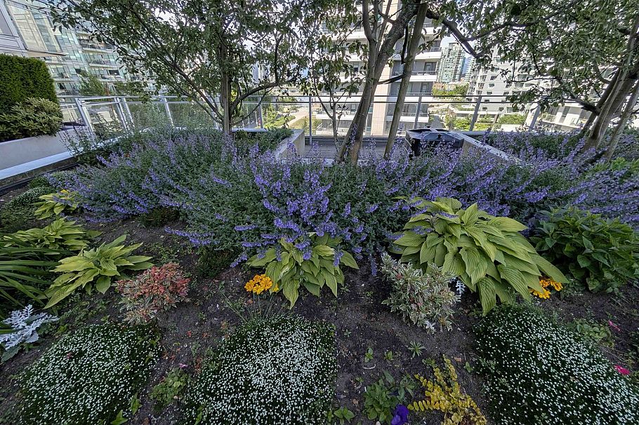 411 1708 Ontario Street Vancouver, BC - 34