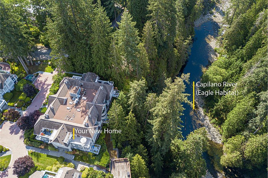 303 3373 Capilano Crescent North Vancouver, BC - 29