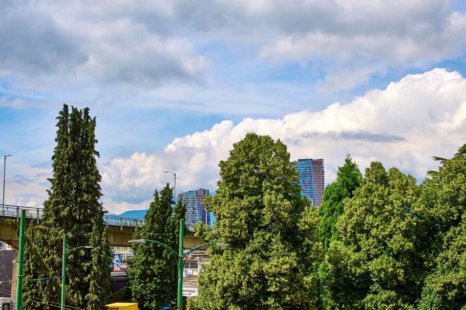 205 1529 W 6th Avenue Vancouver, BC - 20