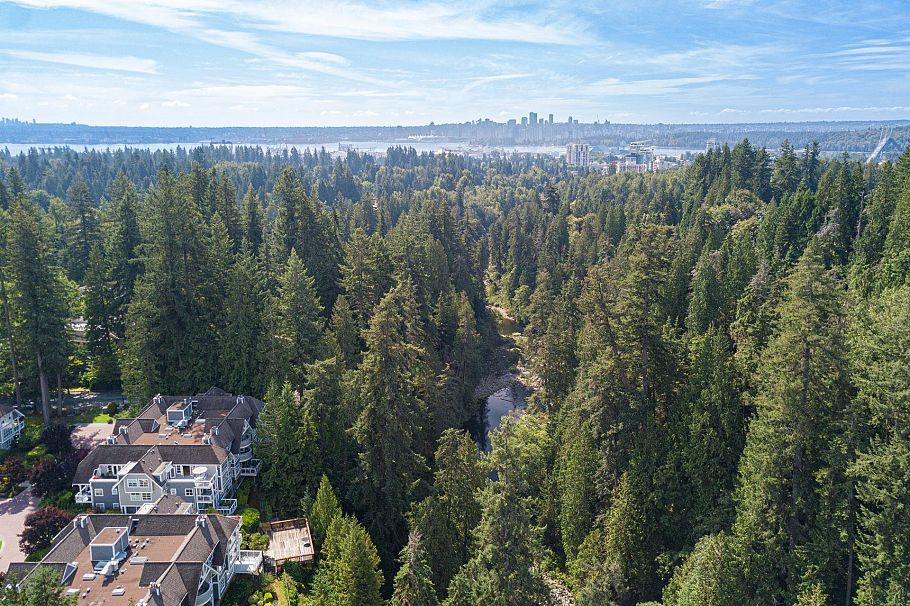 303 3373 Capilano Crescent North Vancouver, BC - 30