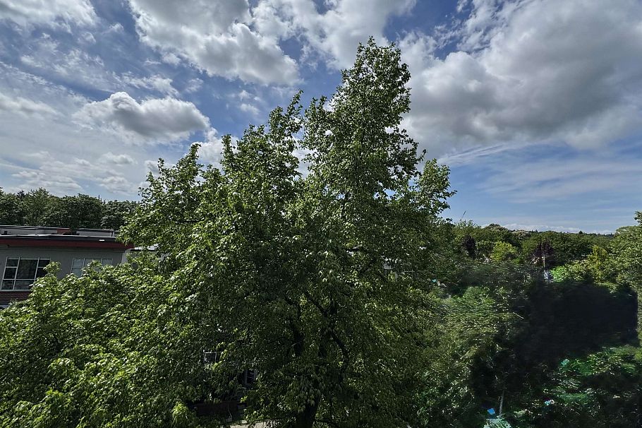 510 2268 Redbud Lane Vancouver, BC - 7