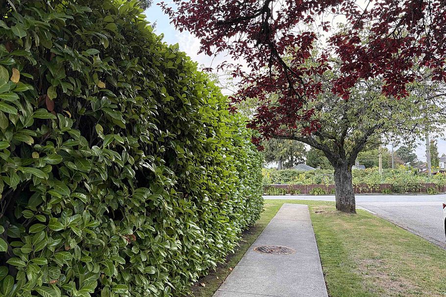 7606 Angus Drive Vancouver, BC - 4