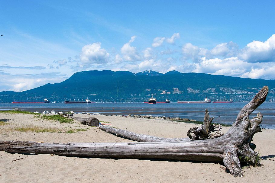 203 2528 Collingwood Street Vancouver, BC - 37