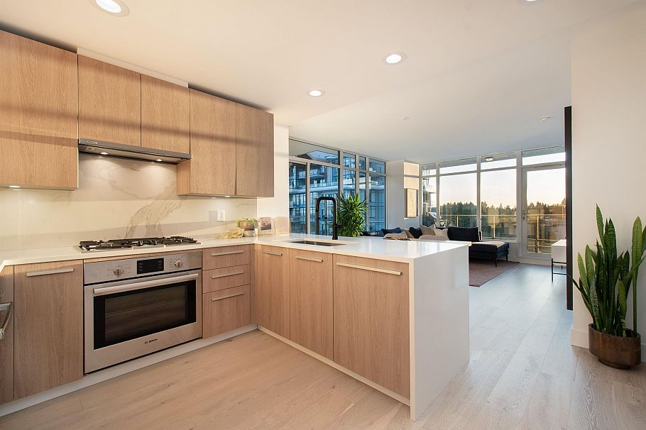 908 2785 Library Lane North Vancouver, BC - 2