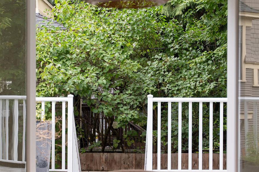 2537 Woodland Drive Vancouver, BC - 30