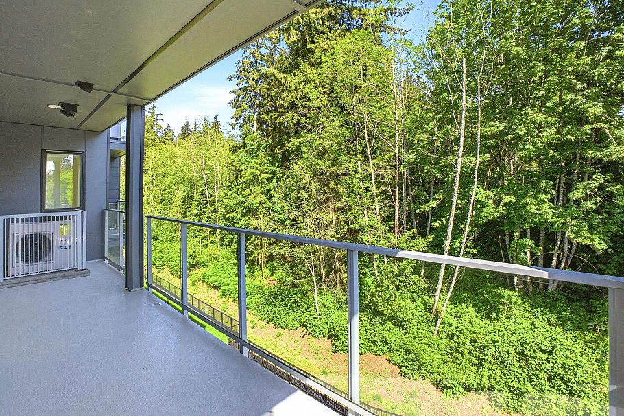 513 3596 Malsum Drive North Vancouver, BC - 19