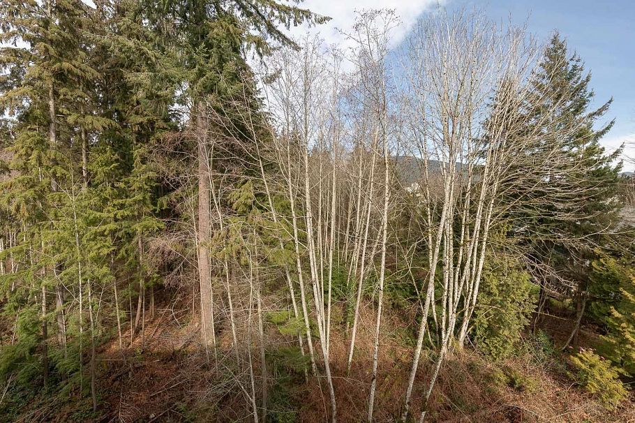 613 3596 Malsum Drive North Vancouver, BC - 26