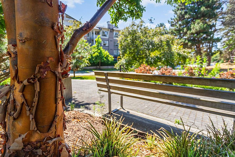 2408 4625 Valley Drive Vancouver, BC - 25