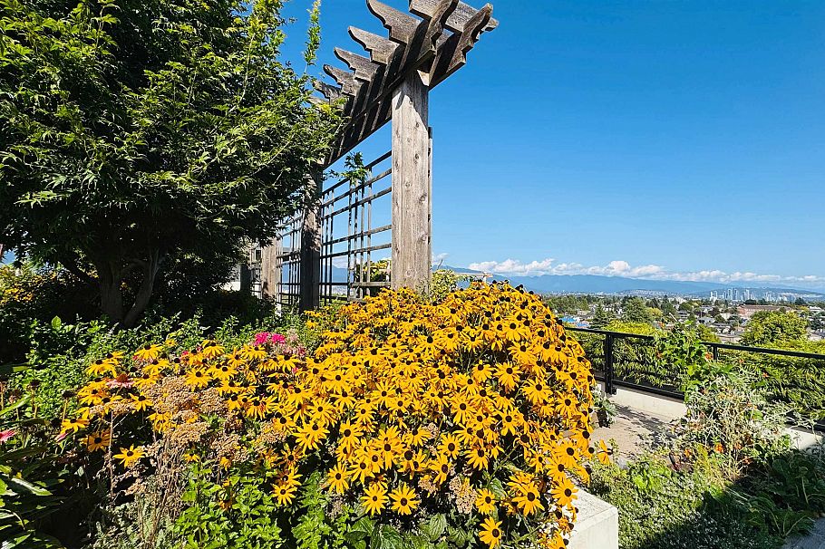 303 4408 Cambie Street Vancouver, BC - 20