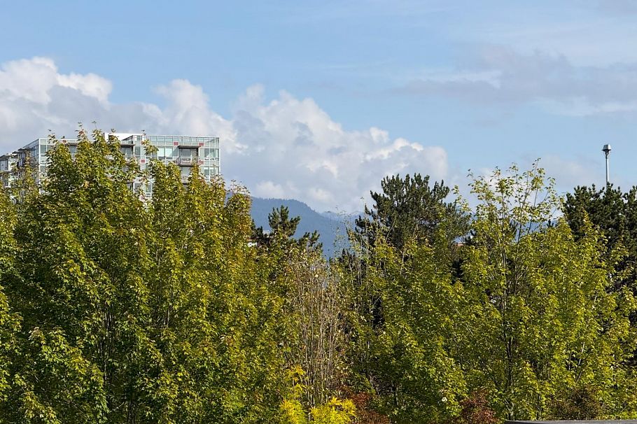 502 120 Milross Avenue Vancouver, BC - 30